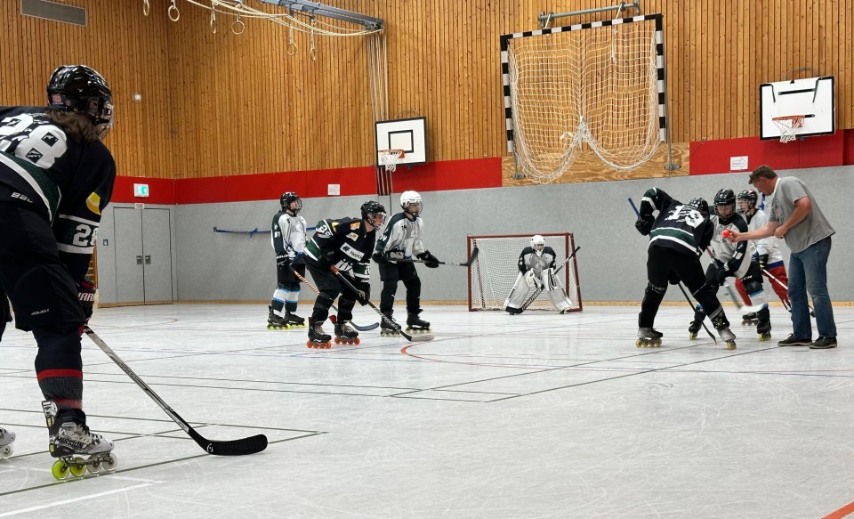2025-07-04 Hobby gg Crocodiles (1)