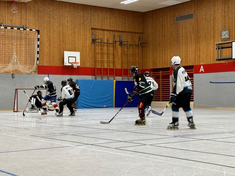 2025-07-04 Hobby gg Crocodiles (2)